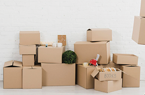 Packers and Movers